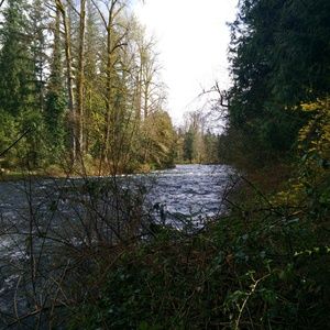 Meet your Posher, Jenny